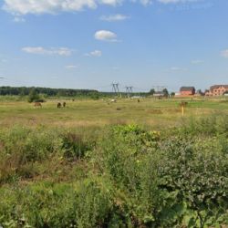 ЭТО БЕЛЯНИНОВО