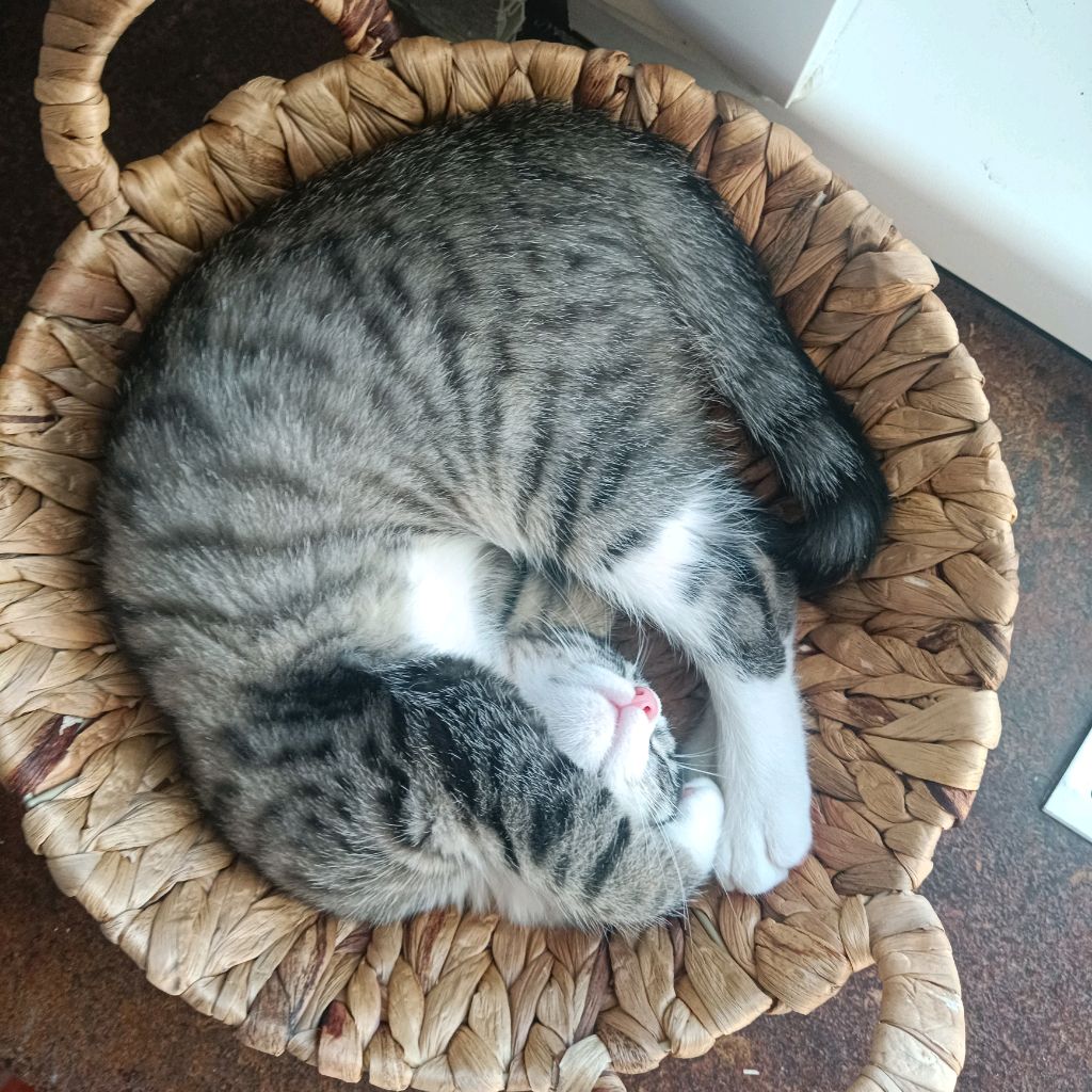 Без паники! Это всего лишь жизнь!