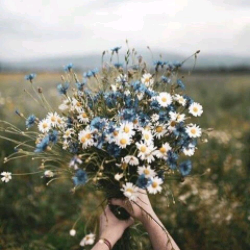 Автор на RuTube 🌿Helen Forest🌿