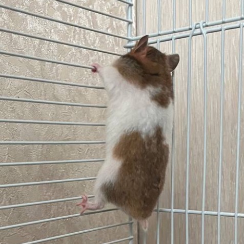 Даша на связи