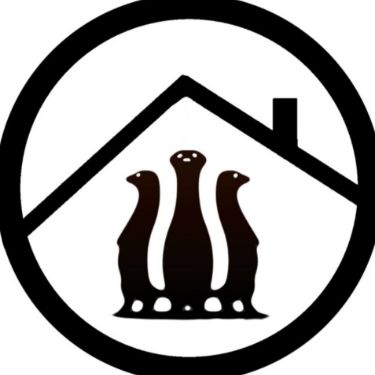 Приют сурикатов в Екатеринбурге