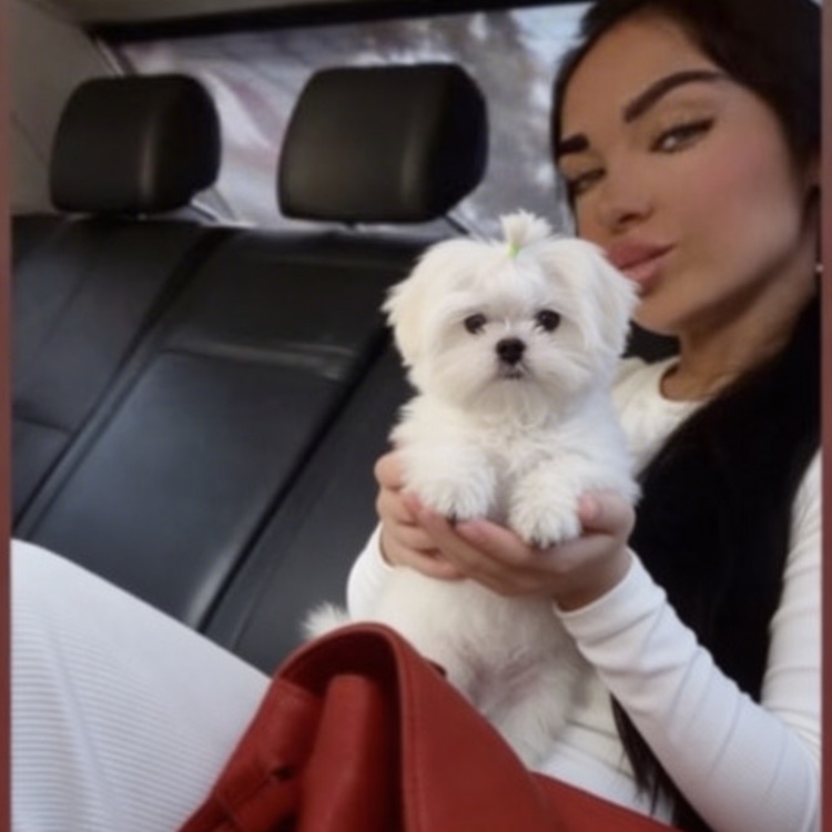 Мальтипу Мимишата888