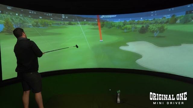 TaylorMade 300 Mini Driver Vs Original One Mini Driver | #Toe2Toe