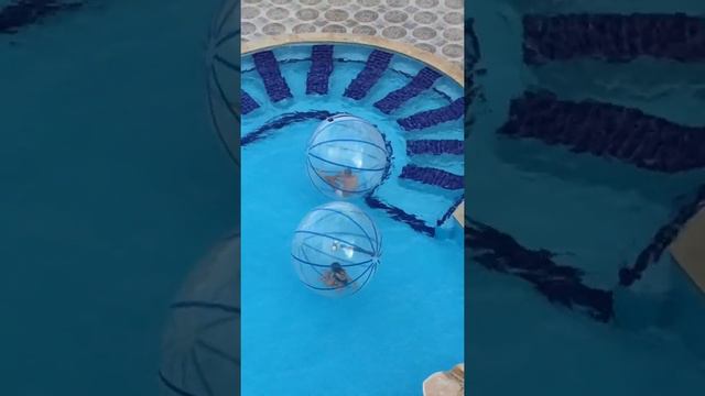 Sphinx Aqua Park Beach Resort 5