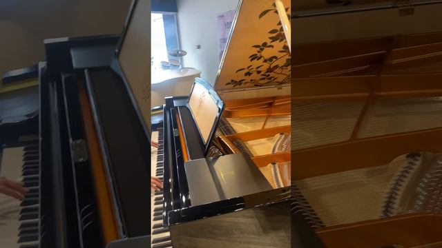 Directed By Robert.B Weide               Play Piano 🎹