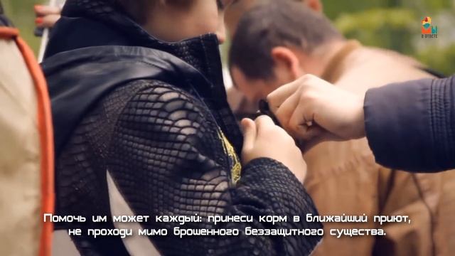Проект 