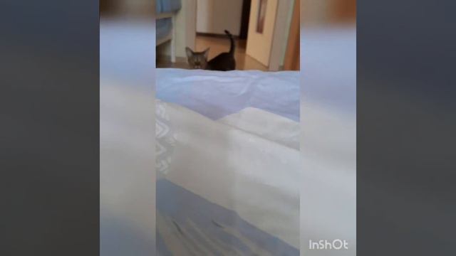 147c3345f219433e72f69325b598161a