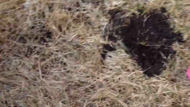 08d22aa675ac4ada193134042ef5c587