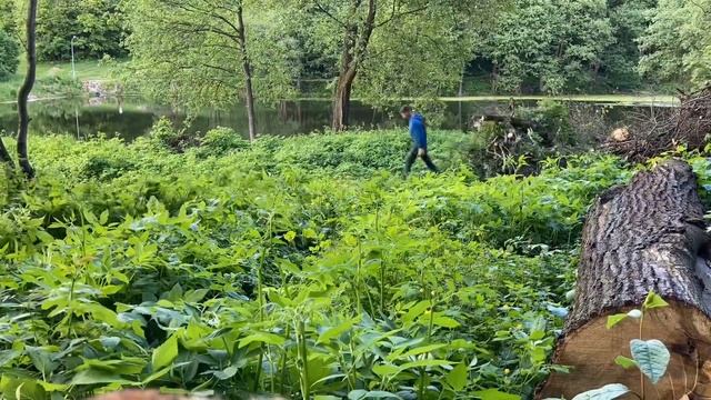 Уборка парка