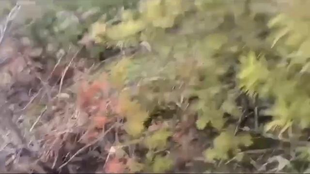 Российские бойцы сбили дрон-камикадзе за секунду до прилёта