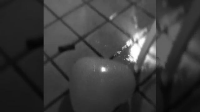 Rain Balloon