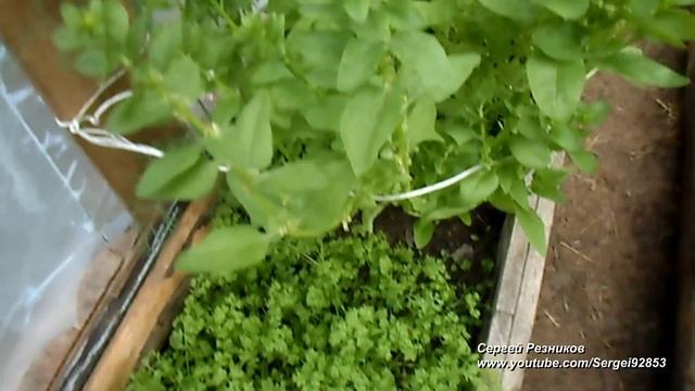 9a9ba9e82b42423871aa3a906b73b1ba