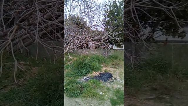 Chalkidiki - Nea Fokaia