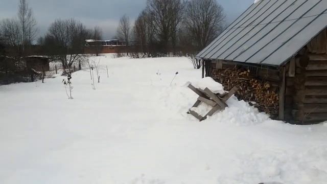 Зимний визит. Уборка снега.