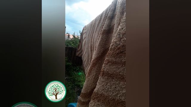 мойка сложных паласов