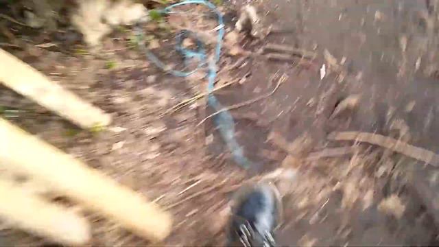 Я и моя дача