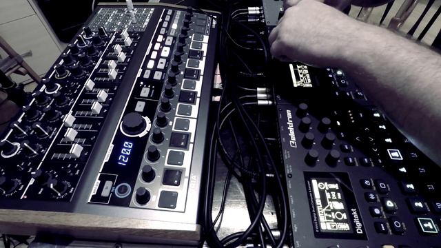 Real Bassist - Love Of Life (original) || Elektron Octatrack, Digitone, Digitakt, MiniBrute 2s
