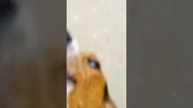 Когда родители ушли