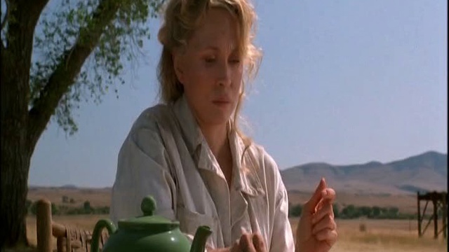 Аризонская мечта (переговоры)