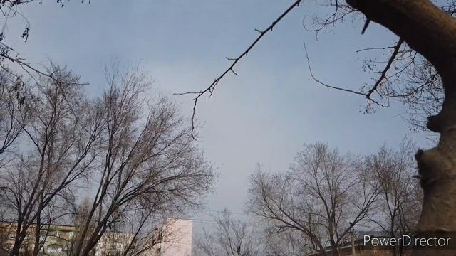 Вкусное Шоу