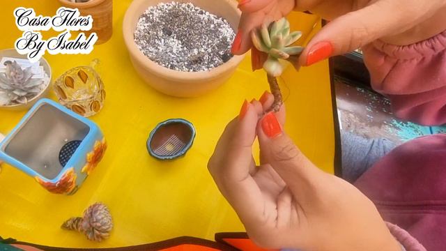 Otra Vez??? UNBOXING 😉😮💨