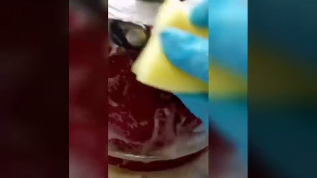 Чем отмыть жир на чайнике без усилий #средствадляуборки #пригоревшиепятна #пятновыводитель #москва