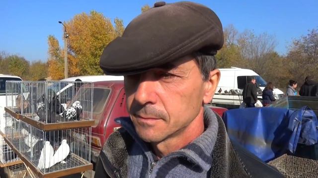 Беседа о лечении голубей.........