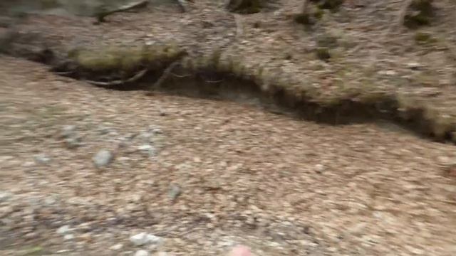 55ed5246892fa6052aba049cdd5c9876