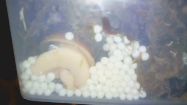 76fa8c37771ebf3b9f5baf07dc0963b1