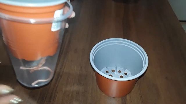 ФИТИЛЬНЫЙ ПОЛИВ ДЛЯ ФИАЛОК