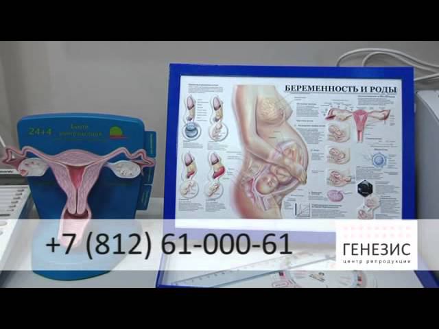 Быть настоящей женщиной!