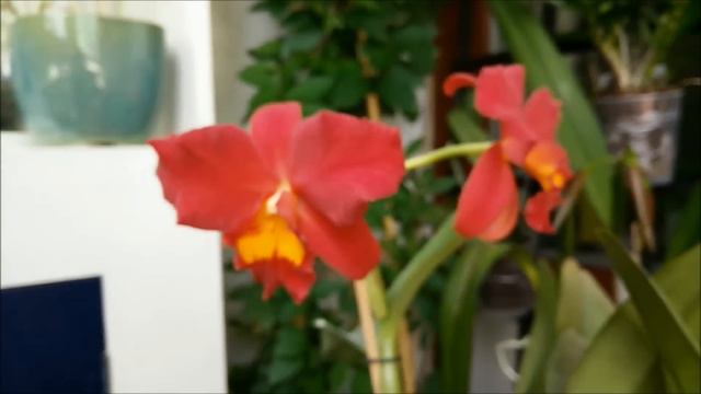 Ec973152e7356fce8514820626ae1727