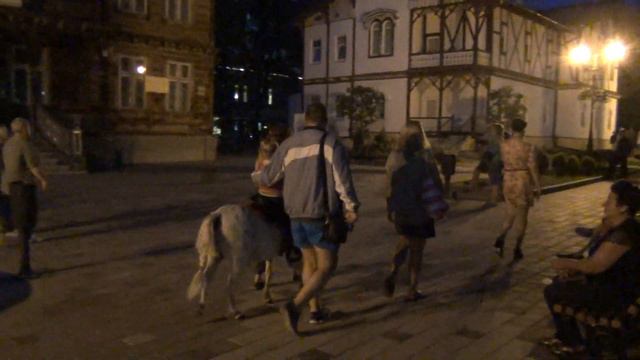 00027 УКРАИНА. ТРУСКАВЕЦ. МУЗЫКАНТ ИГРАЕТ НА СКРИПКЕ. 2019