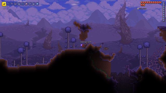 B986188d04aef207ea6d7caf21d74720