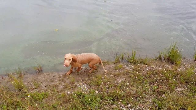 Arískovo Košťátko