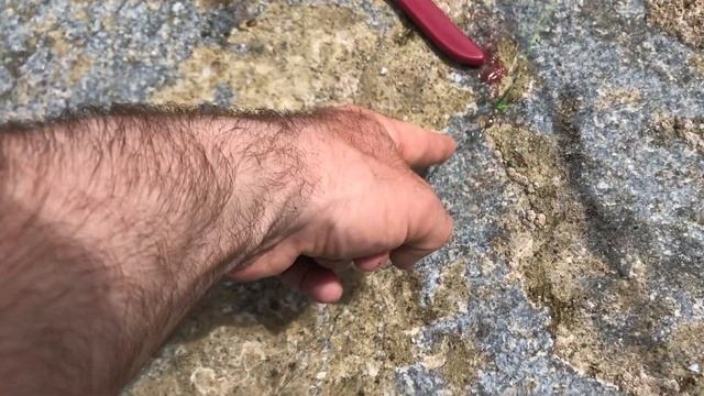 North Jetty SurfPerch Fishing Berkley Gulp Sandworms Cape Disappointment Washington Shore Surf Fish