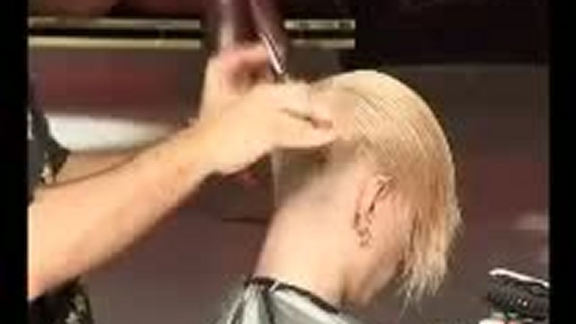 Тренд-коллекция компании 