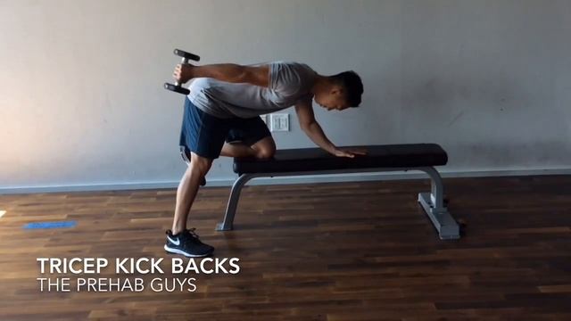 Tricep Kick Backs - Biasing Separate Heads