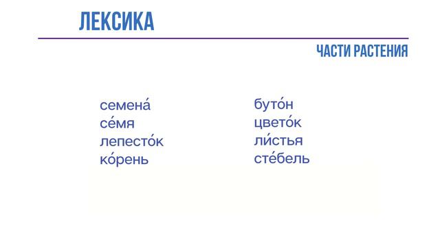Части растения  по-русски | Parts of the plant in Russian | 俄罗斯工厂的部分| Bitkinin Rusça kısımları