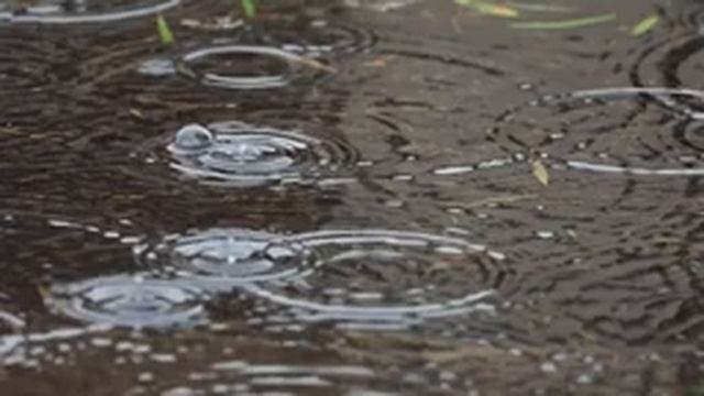 595cdbe37dce3a66efb8132688064564