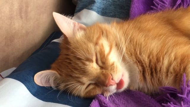 9b03695db12837337d9c5c6f32e86164