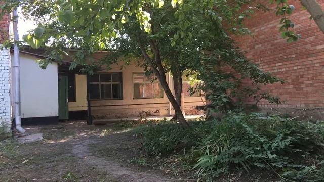 Прогноз на финал кубка Америки, Бразилия-Перу