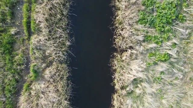 Лужецкое озеро у посёлка Оредеж.