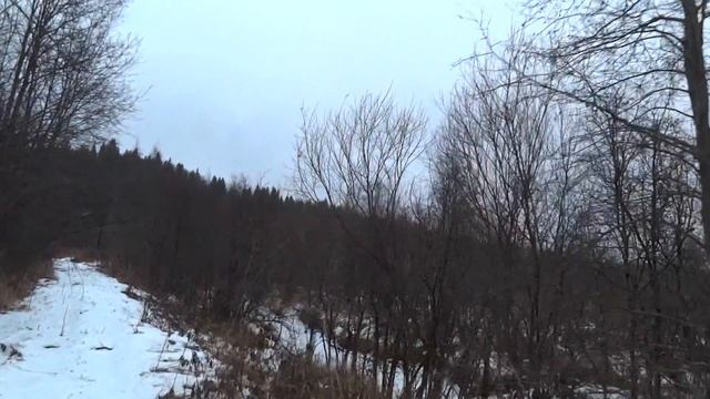 ? Охота на тетерева,на рябчика+мое мнение о ружье CZ Mallard.