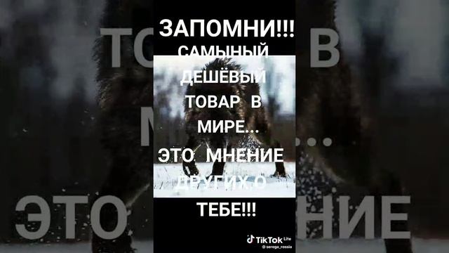 27a0ba581161742e1a4c920399e3e8c7.mp4