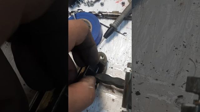 Домашний Дизайнерский Консонанс