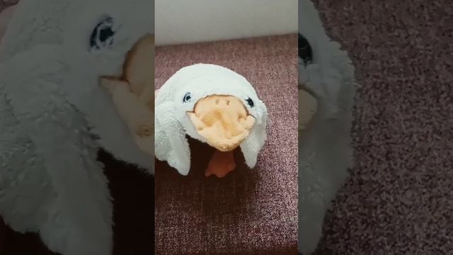 кто придумает более интересный вариант на того подпишусь #люблювас подпишись если не жалко ?