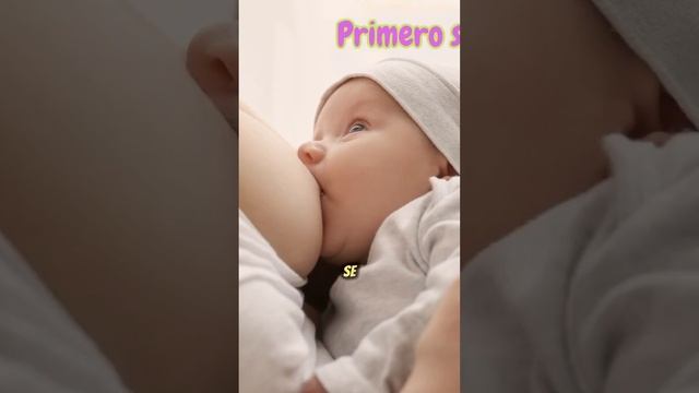 CRISIS DE LACTANCIA DE LOS 6 MESES | Crisis De Lactancia | Brotes De Crecimiento | Lactancia Matern