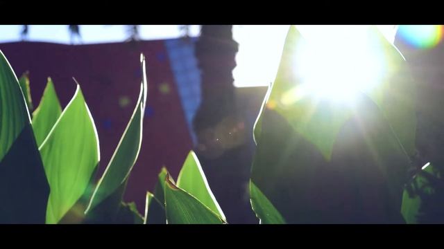 Nikon D5300 And Nikkor AF-S 50mm F/1.8g Prime Lens Sample Video | Day Light