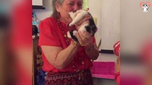 Nach Dem Tod Ihrer Katze Erlebt Eine Lehrerin Eine Rührende Überraschung.
